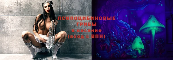 гашик Лагань