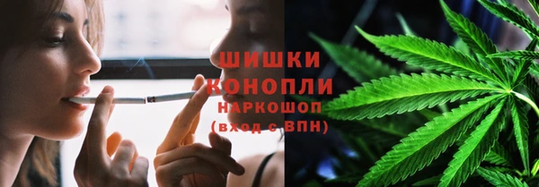 гашик Лагань