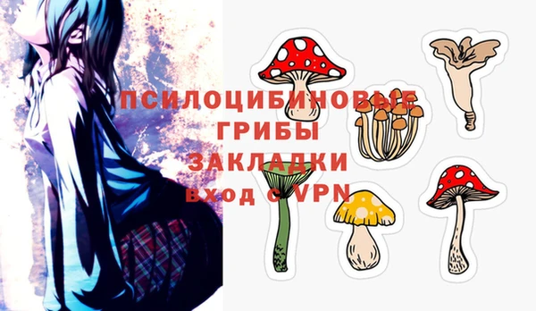 бошки Медногорск