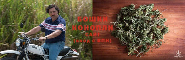 дмт Лабытнанги