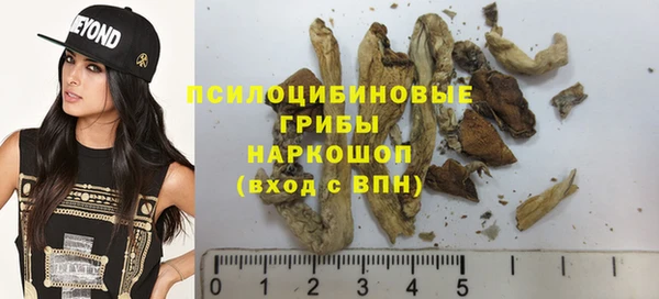 дмт Лабытнанги