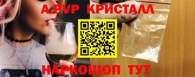 a pvp Кингисепп