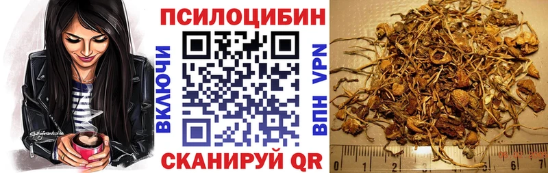 Псилоцибиновые грибы прущие грибы  Узловая 