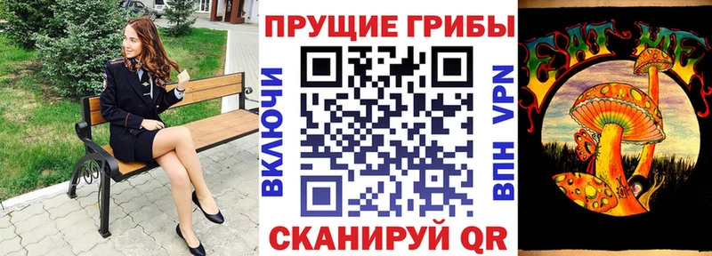 Псилоцибиновые грибы Psilocybine cubensis Узловая