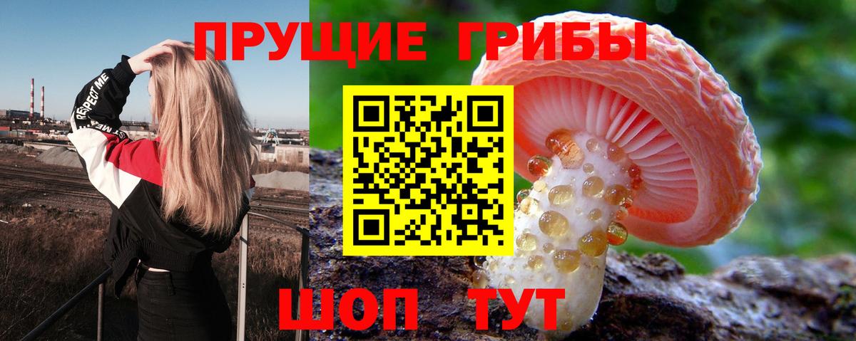 Узловая  Псилоцибиновые грибы мухоморы  Вход с VPN  Псилоцибиновые грибы Magic Shrooms 