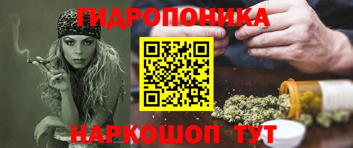 Каннабис AK-47 Узловая